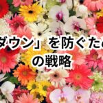 30代からの転職で「年収ダウン」を防ぐための3つの戦略